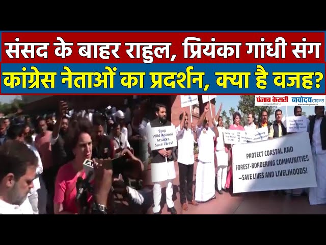 Sansad के बाहर Rahul Gandhi और Priyanka Gandhi का प्रदर्शन, क्या है मामला? Congress Protest