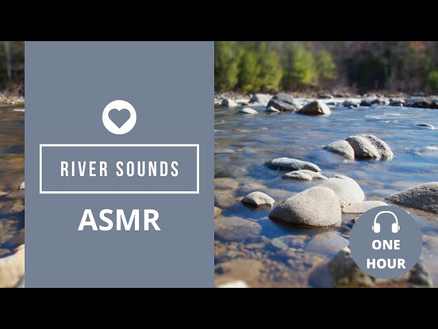 ASMR RIVER SOUNDS | ASMR NATURE | RELAXATION | MEDITATION