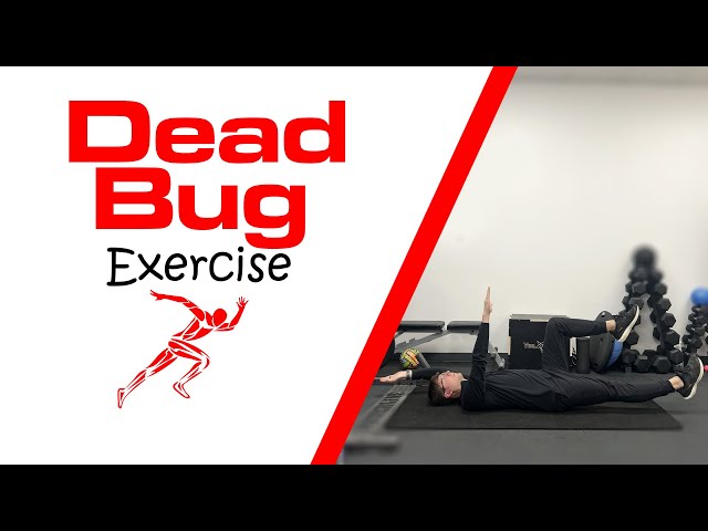 Dead Bug Exercise