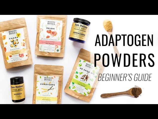 BEGINNER'S GUIDE TO ADAPTOGENS | reduce stress, boost immunity & more