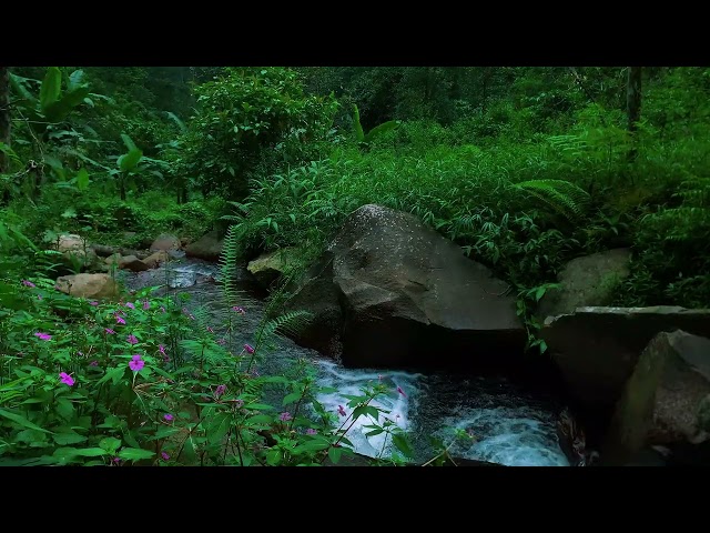 Rushing River Sounds: The Perfect Nature Melody for Your Rest"