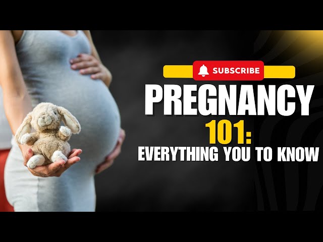 Pregnancy 101: Everything You Need to Know