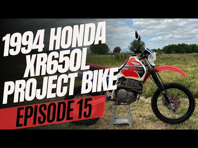 Blue vs White Side Panels | Cheap eBay Find | XR650L Project Bike