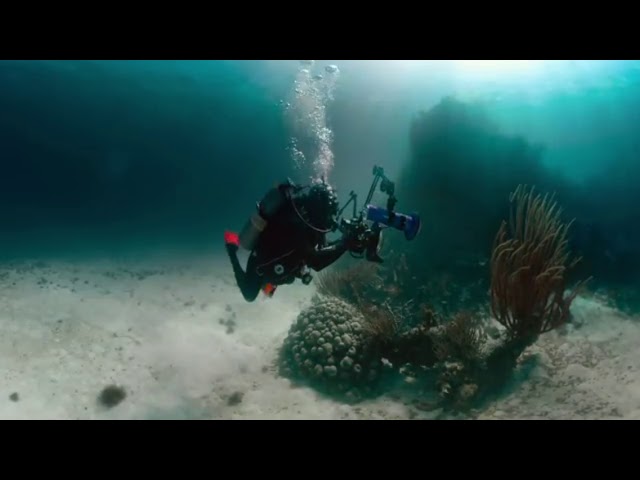 National Geographic 360 VR MIX