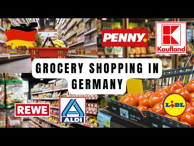 Grocery Shopping in Germany| Where to Buy Your Essentials? | Desi in Germany 🇩🇪