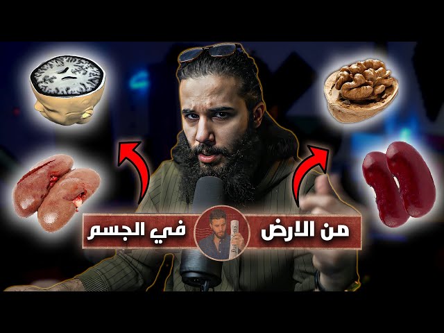 ليش تتشابه بعض النباتات بأعضاء الانسان؟! | أنس آكشن