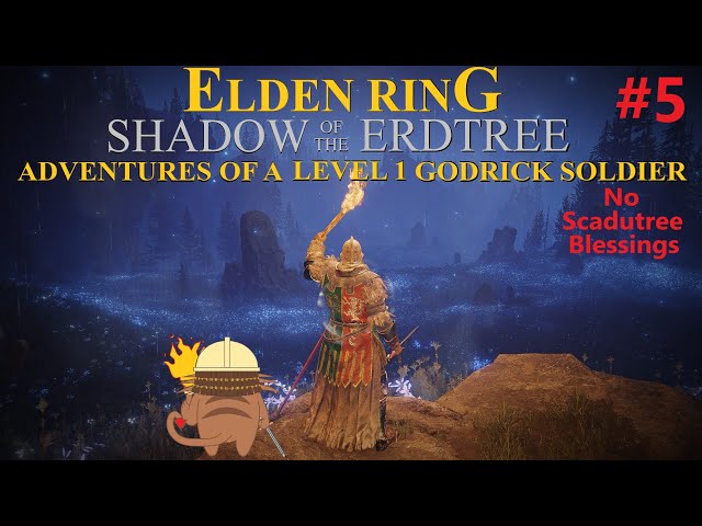 Rune Level 1 No Scadutree Blessing Godrick Soldier Cosplay! (PC)Elden Ring: Shadow of the Erdtree!