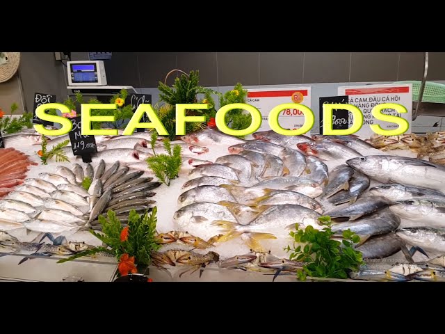 Touring a small corner of Seafoods in Suppermarket