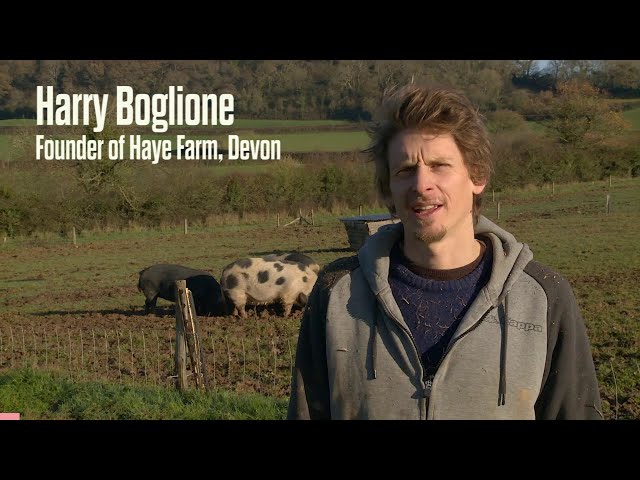 Harry Boglione - Hayes Farm, Devon