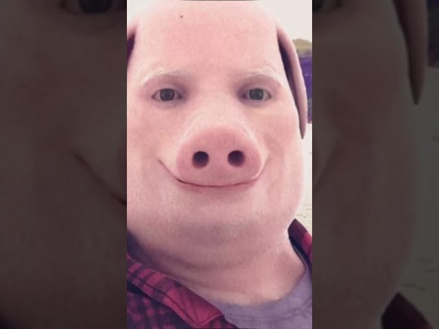 #pig #heh #cool #memes #heheheha #funny #heha #fortnite #hehehe #edit