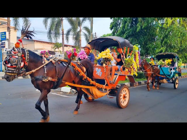 NAIK KUDA DELMAN - LAGU DUA MATA SAYA - NAIK DELMAN ISTIMEWA - DI SINI SENANG DI SANA SENANG