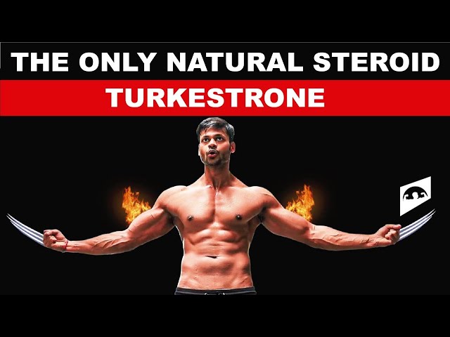 TURKESTRONE || FINALLY A NATURAL STEROID WITH NO SIDE EFFECTS || +ENGLISH SUBTITLES