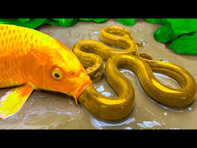 Stop Motion ASMR Mukbang Catch Octopus Giant Catfish - Goldfish Tiny Aquarium underground