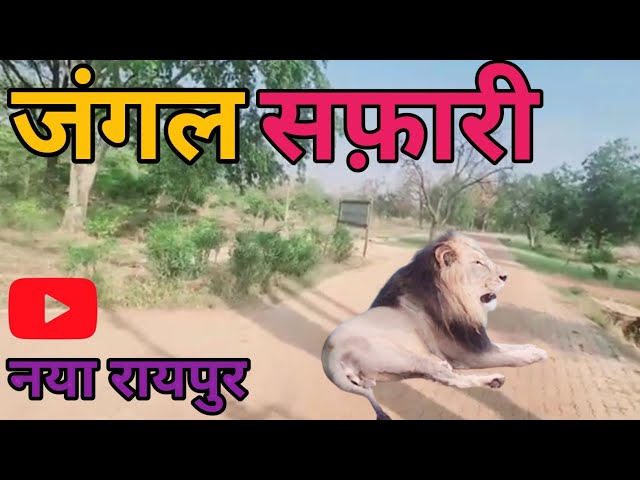 Jungle Safari Raipur | जंगल सफ़ारी नया रायपुर | Zoo | Decode Prelims | Naya Raipur Jungle Safari