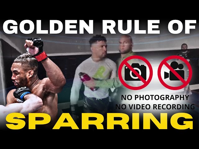 Sparring Rules Explained: The Kevin Lee Case