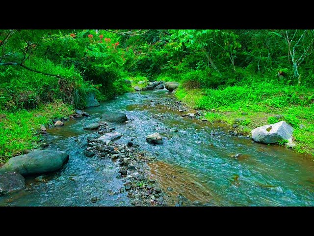 Relaxing River Sooting Sound gentle water sound white noise for deep sleep for stress relief