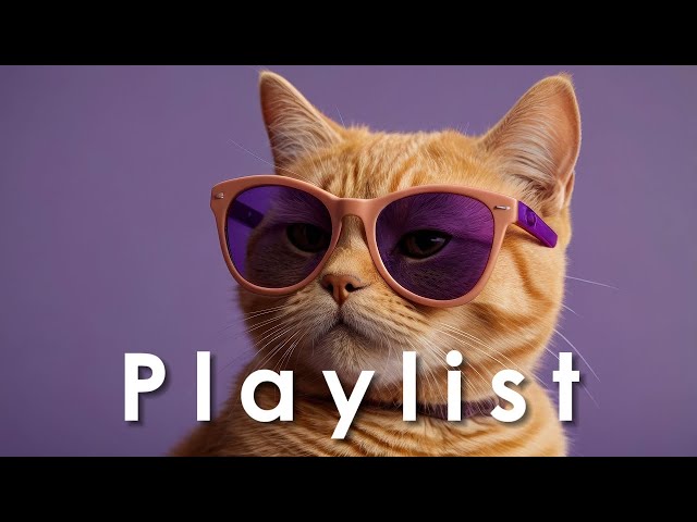 What isn't music? - Hit Chill Pop Hip-hop | Lo-fi Playlist