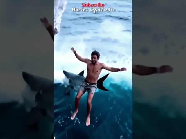 Climbing and jumping with sharks #amazing #climbing #shark