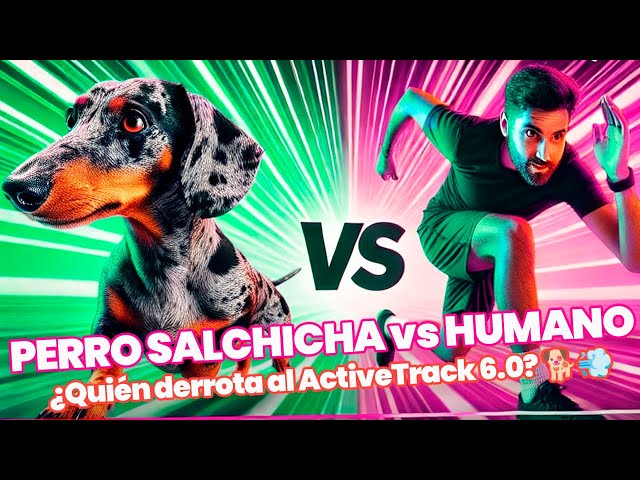 OSMO POCKET 3: PERRO SALCHICHA vs HUMANO