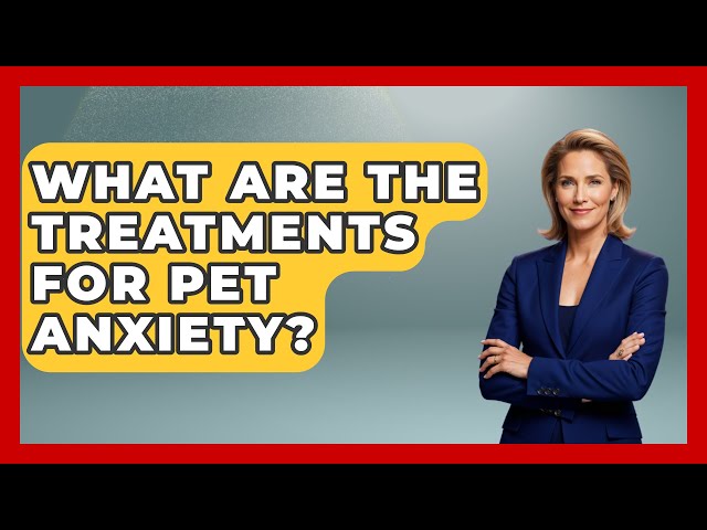 What Are the Treatments for Pet Anxiety? | Ask A Pet Vet