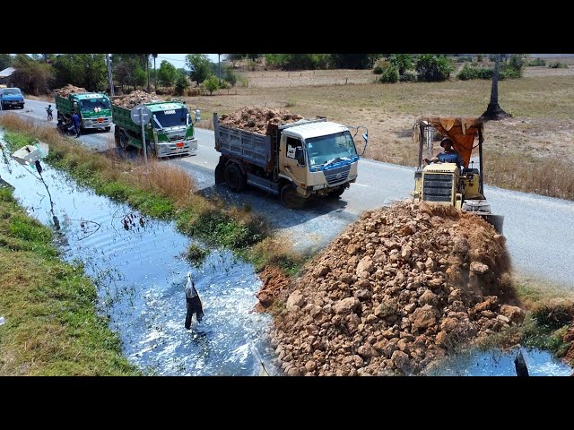 Wonderful New Project!! Bulldozer Pushing Soil Filling Garbage Canal & 5ton Truck.