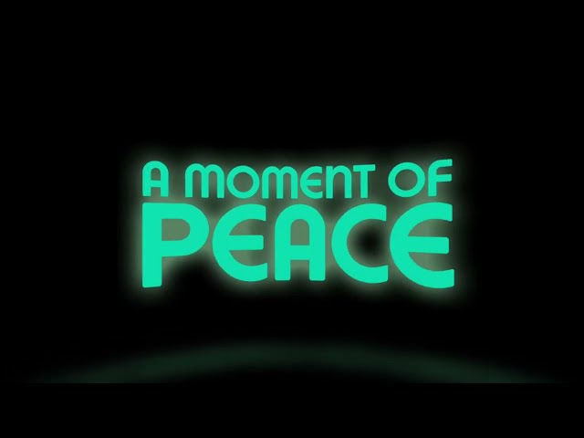 Moment of peace 180° VR Video