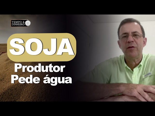 Soja: produtor gaúcho pede água e lei para enfrentar seca, alerta o consultor Albano Strieder