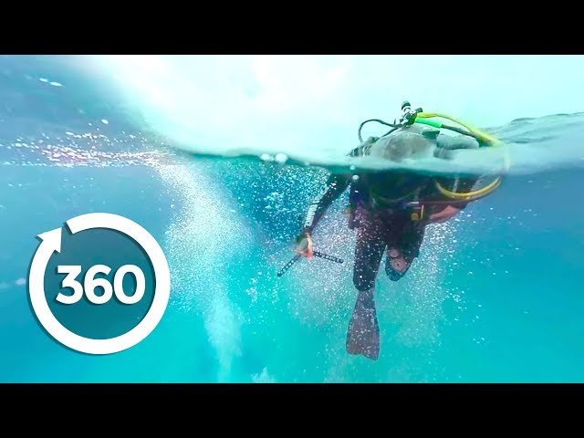 MythBusters: Shark Shipwreck (360 Video)