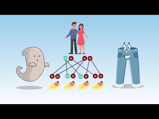 The Genetics of Huntington's Disease