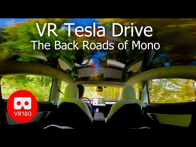 VR180 Tesla Drive Through Mono’s Back Roads 🍂 | Autumn Escape