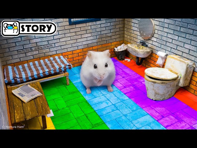 Hamster Robber escapes from Prison Maze 🐹 Homura Ham Pets