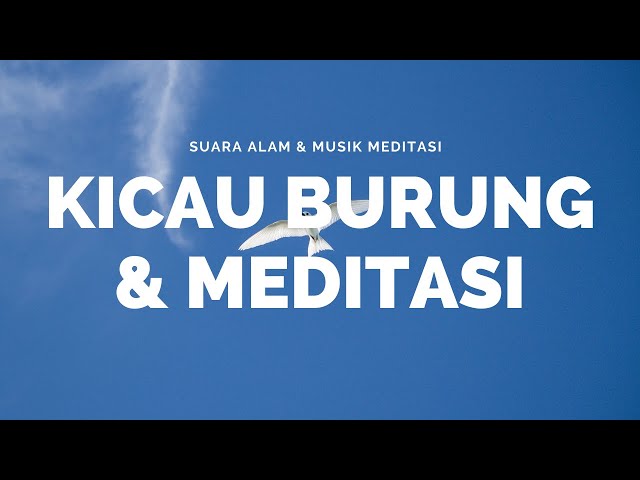 TERAPI SUARA ALAM, KICAU BURUNG DAN MUSIK INSTRUMEN MEDITASI DAPAT MENENANGKAN JIWA