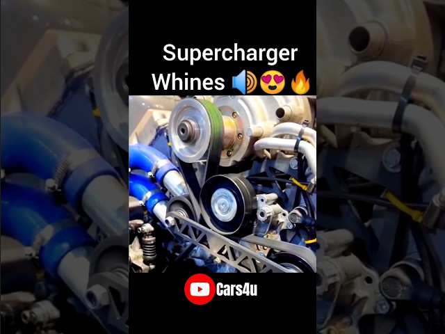 Supercharger Sound🔊😍🔥 #turbocharger #supercharger #sound #musclecar ##trending