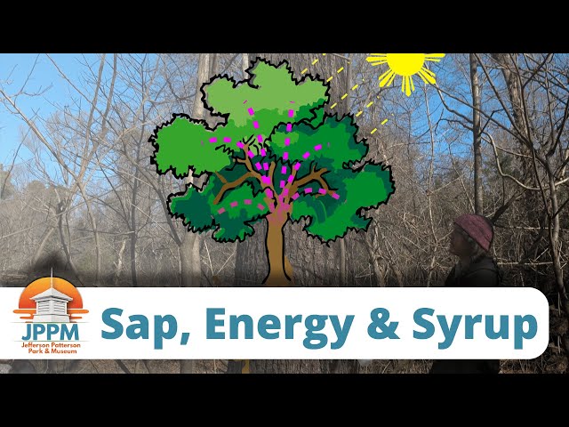 Sap, Energy, and Syrup (OER)