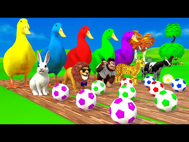 Funny Animal 3D Cartoon Paint Animals Ducks Cow Cat Rat Roster Elephant, Dinosaur, Tiger, Lion