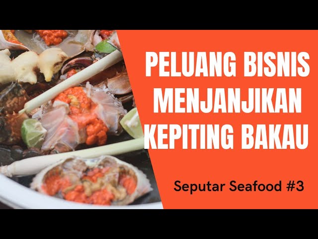 IDE PELUANG USAHA SEAFOOD? AUTO KAYA ! SEPUTAR SEAFOOD #3