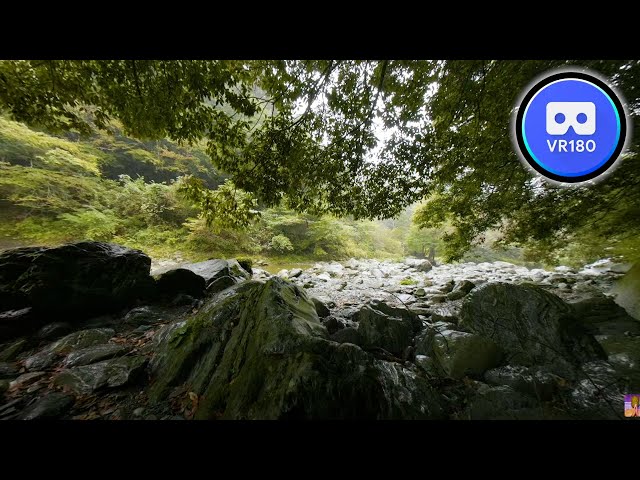 VR180 Trip Beautiful valley in Japan with rain 8K Video