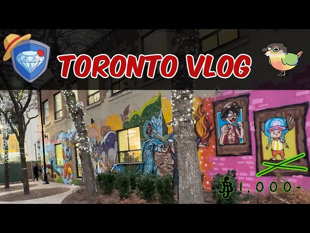 Surprise party and Grand opening of Toronto's best Trading Card Game (TCG) shop