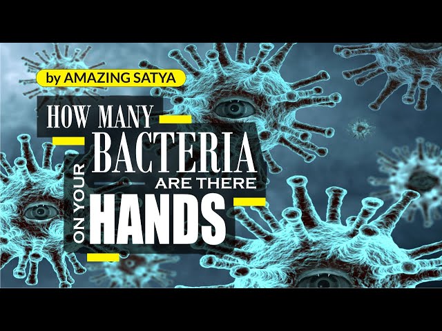 HOW MANY BACTERIA ARE THERE ON YOUR HANDS - Interesting facts in English, Amazing facts, $Shorts