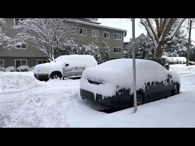 Massive overnight Snow Dump in Vancouver - December 2022 | BCstorm