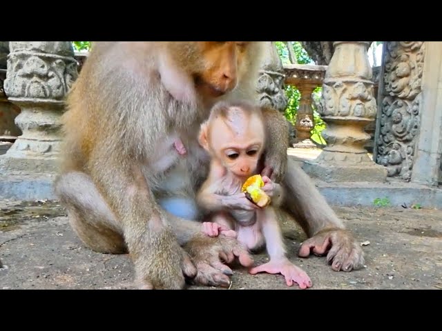 Albert tries to hug Mom, fails, on the concrete, touches his feet , looks funny