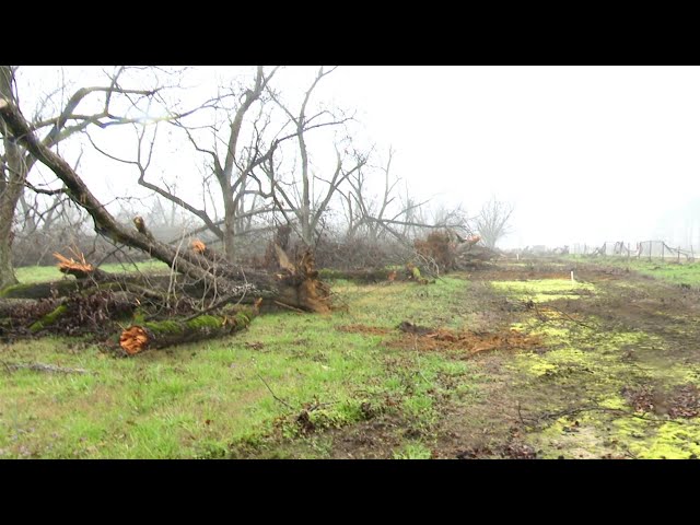 CSRA farmers face ongoing struggles after Hurricane Helene