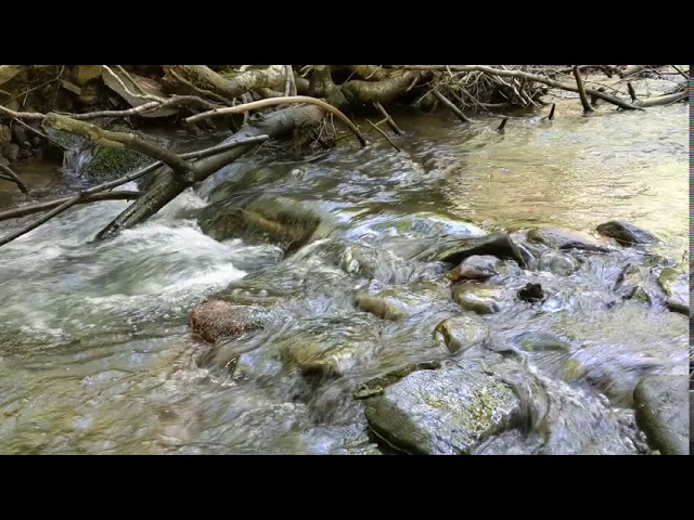 Babbling Brook closeup