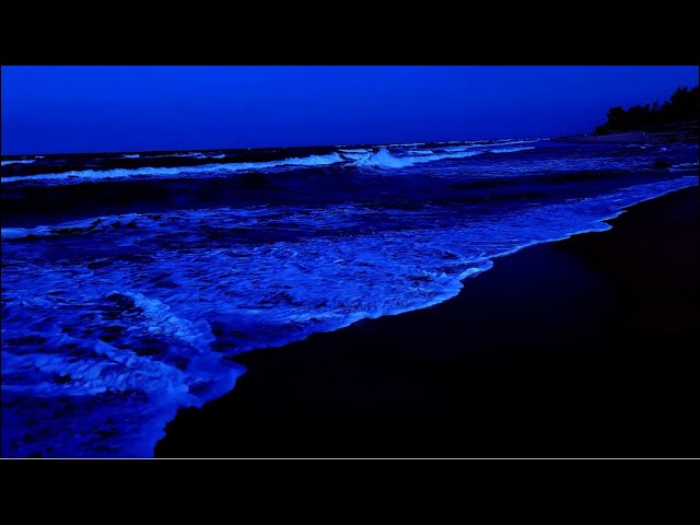 Ocean Waves for Deep Sleep Ocean Wave Sound of Rolling Waves for Relaxation