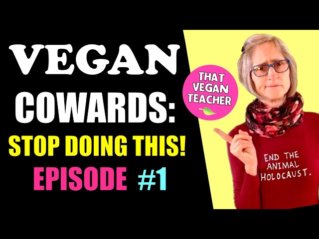 Vegans: Get out of your echo-chambers!