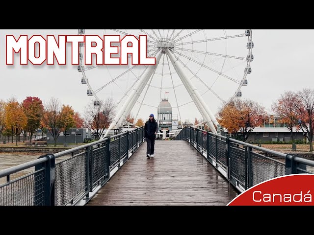 Montreal Tour | East Canada #4