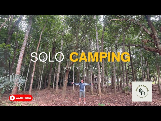 Camping in a cold, forested campsite - Silent Vlog