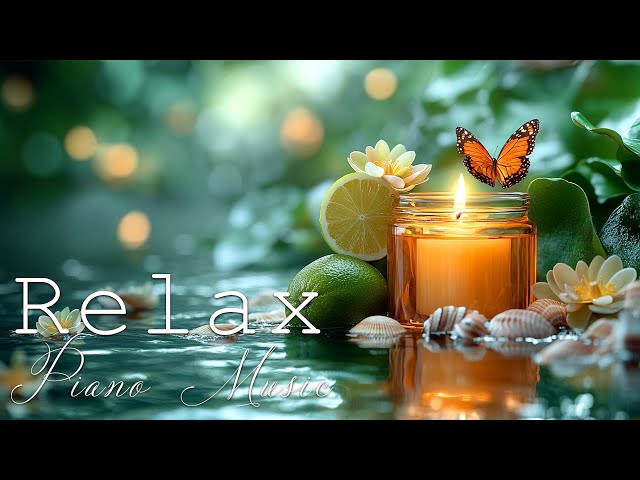 Relaxing Piano & Nature Sounds 🌿 Stress Relief Music for Meditation & Focus💦