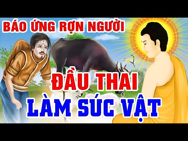 Nhân Quả 2025 Hay, BÁO ỨNG ĐẦU THAI LÀM SÚC VẬT _ Rất Khổ Sở | Gieo Nhân Gặt Quả...Báo Ứng 3 Đời