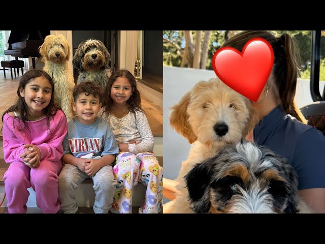 AUSTIN'S NEW GIRLFRIEND MEETS HIS 3 KIDS & 2 PUPPIES!!!